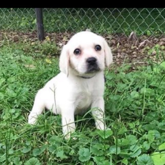 Meet your Posher, Tania - Picture 1 of 1